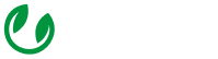 Gạo Chất Việt